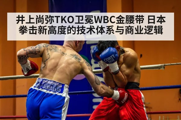 boxing training gym fighter